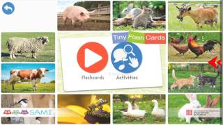 Animals Tinycards  Flashcards for toddlers and preschool Sami Apps quality [upl. by Nuahc]