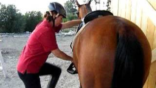 Correct Mounting Method for Treeless or ANY Saddle [upl. by Nirehtak]