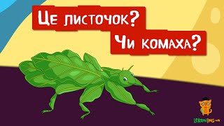 🍀 Дива природи Явища навколо нас Листотіли — листочки чи комахи 🌏 [upl. by Westfahl711]