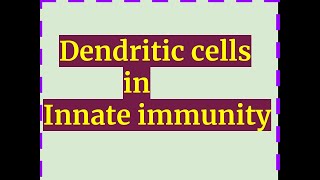 DENDRITIC CELLS inInnate immunity [upl. by Nyllaf]