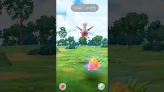 Mega latias raid🎯 pokemongo pokemon legendary gobattleleague latias megaraid dragon [upl. by Lucretia]