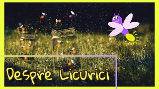 Lumea Magica a Licuricilor  Despre Licurici  Curiozitati despre Licurici [upl. by Leina826]