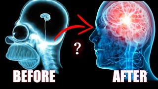 BDNF  How to Literally Grow The Size Of Your Brain amp Improve Your Memory Einsteinlike Tips [upl. by Attelrak]