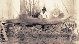 Alligator Gar released in Kentucky [upl. by Magill]