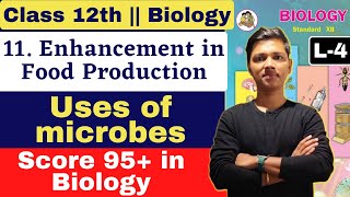 L4  11 Enhancement of food production Class 12 Biology By New Indian era Microbes [upl. by Mirna637]