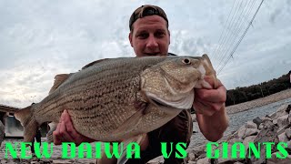 STRONGEST FRESHWATER FISH vs NEW DAIWA CERTATE  River Spillway Fishing for FREAK FISH [upl. by Ohare120]