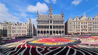 Brussels Flower Carpet 2024 [upl. by Vescuso]