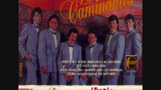 los caminantes ya te fuiste0001wmv [upl. by Anitrebla567]