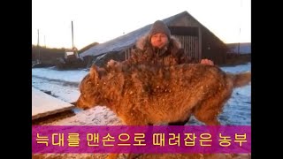 Ep22 개죽음3 맨손으로 늑대를 때려잡은 농부 wolf attack [upl. by Ateuqram]