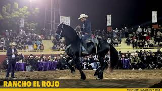 🏆De los MEJORES FRISONES en la FERIA GANADERA DE CULIACÁN [upl. by Malchus21]