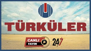 Ulusdan Türküler  Canlı Radyo  724 Radyo Dinle 2024 [upl. by Hughie509]