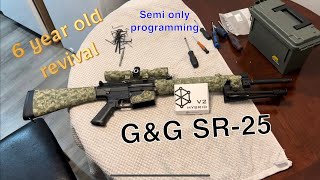 GampG SR25 Overhaul Perun Hybrid v2 Installed and programmed airsoft longshot tech upgrade [upl. by Adnerol]