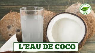 VERTUS ET BIENFAITS DE LEAU DE COCO [upl. by Arahat]