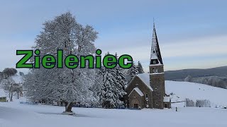 Zieleniec biały ❄ 4122023 [upl. by Eical]