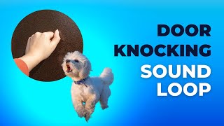 Door Knocking Sounds  Desensitizing Sound for Puppies and Dogs [upl. by Binette628]