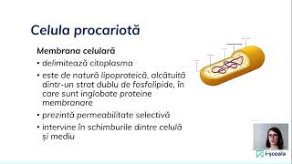 Biologie pentru Bacalaureat  Celula procariotă și celula eucariotă [upl. by Dewitt]