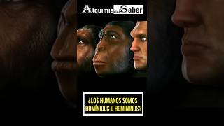 Los humanos somos homínidos u homininos  Alquimia del Saber  Sh62 prehistoria historia [upl. by Hesper]