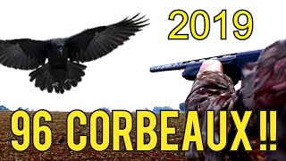 Chasse corbeaux 2019 [upl. by Leasi]