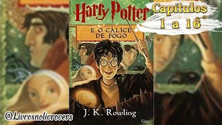 Harry Potter e o Cálice de Fogo  audiobook 13 [upl. by Stu618]