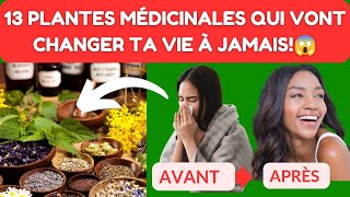 Découvrez les Pouvoirs des 13 Plantes Médicinales les Plus Efficaces [upl. by Niala]