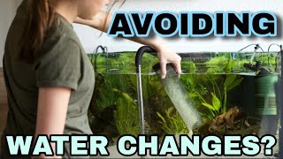 Do Aquariums Need Water Changes Filterless Deep Substrate Planted Tanks amp When to Change Water [upl. by Honebein]