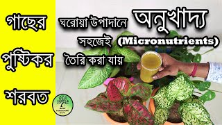 বাড়িতে সহজেই তৈরি করুন গাছের অনুখাদ্য  Make micronutrients for plants easily at home [upl. by Kalvin]