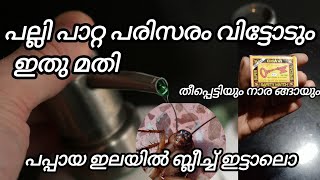 ഈ മണം ഒന്നു മതിപല്ലിയും പാറ്റയും പമ്പകടക്കും പഴകിയ ടൈൽ പുതുപുത്തനാക്കാംPONNUSWORLD1234 [upl. by Ennyleuqcaj491]