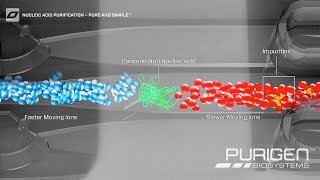 Ionic® Purification System – Simple Chargebased DNA and RNA Extraction [upl. by Brothers]