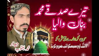 Tarey Sadqey Muhammad Banorn Walyan Kalam Ahmad Ali Hakim M Yaqoob Jeedar 2024 [upl. by Dlarrej]