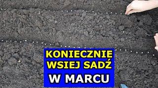 KONIECZNIE Wysiej te Warzywa w Marcu Co siać sadzić w Marcu Kalendarz Ogrodnika Warzywnika Marzec [upl. by Fafa]