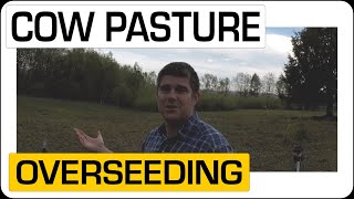 Cow Pasture Seeding with GroundWork Pasture Overseeder Mix [upl. by Olenolin]