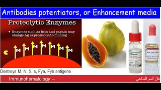 Lecture 115 Antibodies potentiators or Enhancement media [upl. by Aurora]