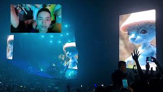 The Spectre  Alan Walker amp Blue Smurf Cat Concert  WalkerVerse 2023 [upl. by Adriano]