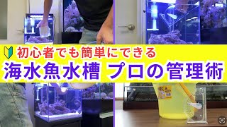 【初心者必見】海水魚水槽の水換え、コケ取り、海水の作り方、スキマー清掃のコツまですべて解説します [upl. by Miquela]