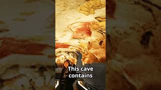 Amazing Prehistoric France adventure caveart prehistoricfrance [upl. by Trainer]