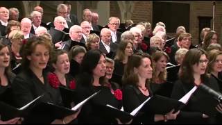 JUBILATE DEO olv Marco den Toom  Halleluja Beethoven [upl. by Elokkin127]