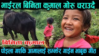 गुल्मीकी बिनिता कुमाल गोरु चराउदै ।। आमा सम्झेर गाइन गीत ।। Binita Kumal [upl. by Ahsed]