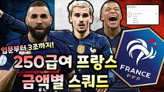 FC온라인 250급여 프랑스 금액별 스쿼드 입문3조 [upl. by Jarvey]