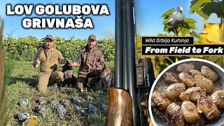 Lov Golubova Grivnaša sa Lokerima WILD Srbija kuhinja Wood pigeon hunt over decoys E209 [upl. by Rosina]