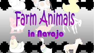 Farm Animals in Navajo [upl. by Relyuhcs]