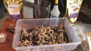 How to make a master springtail or isopod culture for Bioactive BioDude terrariums [upl. by Farmer]