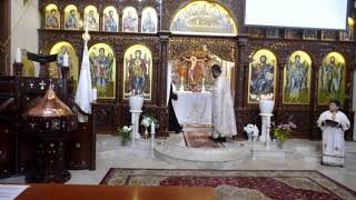 Divine Holy Liturgy  English  23062024 [upl. by Annoirb]