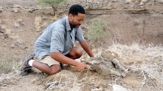 የሰላም  ‹‹አባት››  Scientific Expeditions Zeresenay Alemseged The search for humanitys roots [upl. by Hughmanick]