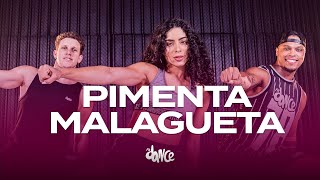 Pimenta Malagueta  Xanddy Harmonia  FitDance Coreografia [upl. by Mcneely]