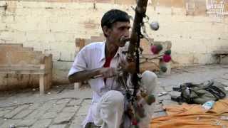 Indian Folk Street Music in Jaisalmer Rajasthan [upl. by Nirtak]