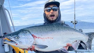 BIGGEST COHO SALMON Ive Ever Seen [upl. by Twum]