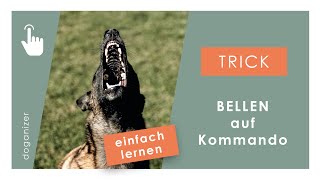 Hund Bellen auf Kommando beibringen  Hund Gib  Hundetricks [upl. by Ardnoik]