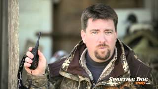 SportDOG Sport Hunter 1825  Dog Training Collar Review  SportingDogProcom [upl. by Dara]