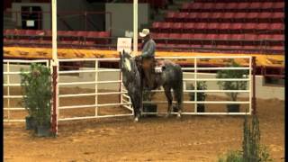 2013 AQHA Verstality Ranch Horse Amateur World Champion [upl. by Orteip520]