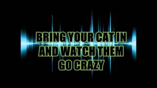 Only Cats can Hear This Pitch [upl. by Moses]